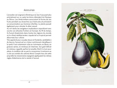 Petit livre du potager et du verger