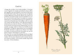 Petit livre du potager et du verger