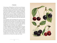 Petit livre du potager et du verger