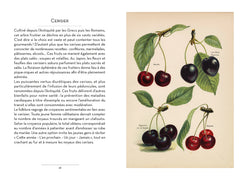 Petit livre du potager et du verger