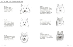 Dessiner comme un pro avec Tutodraw