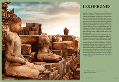 Yoga, 2500 ans d'histoire (nouvelle édition)