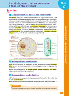 Objectif CRPE - Sciences et technologie - 100 fiches efficaces pour bien réviser - L3