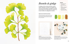 Flora botanica
