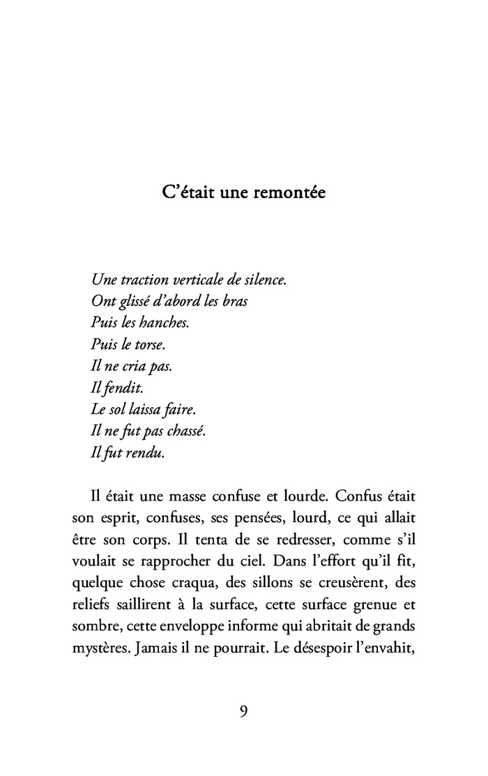 Les éléphants n'étaient pas bleus