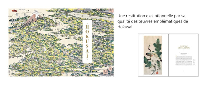 Hokusai. Le fou de dessin