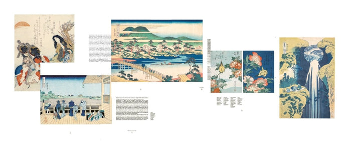 Hokusai. Le fou de dessin