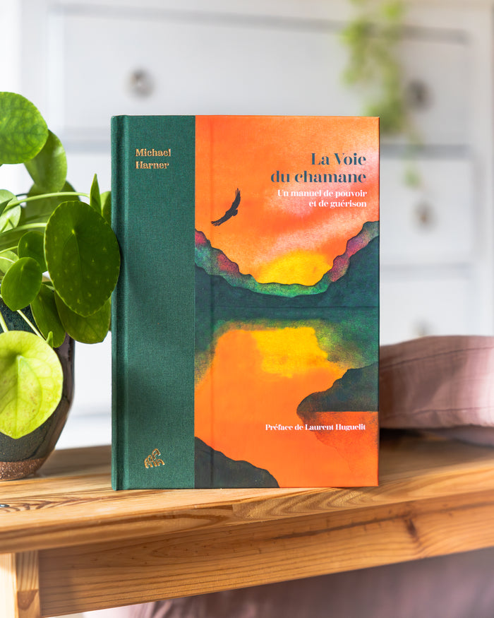 La voie du chamane collector