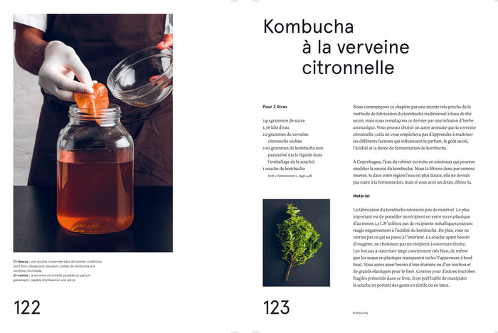 Le guide de la fermentation du Noma