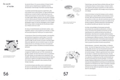Le guide de la fermentation du Noma