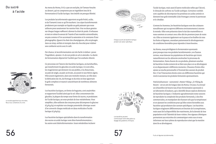 Le guide de la fermentation du Noma
