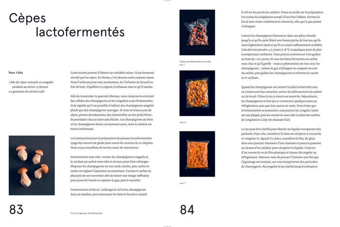 Le guide de la fermentation du Noma