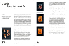 Le guide de la fermentation du Noma