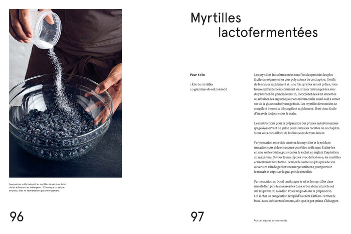 Le guide de la fermentation du Noma