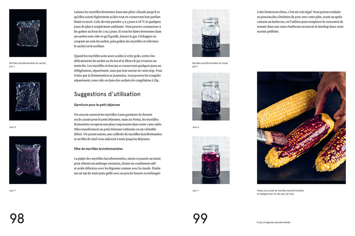 Le guide de la fermentation du Noma