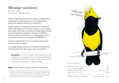 Le Petit Guide des Pires oiseaux à la con