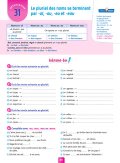 Pour comprendre - Français CM1