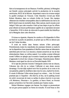 Faire mouche