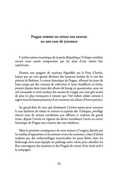 Miettes de vies