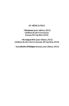 Les Miroirs d'Udaipur