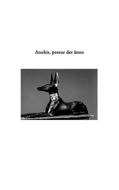 La vie, d'abord et avant tout !