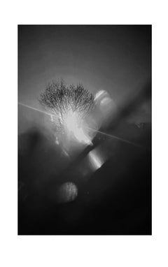La Valse des Amants Éternels