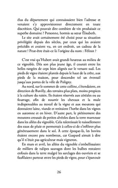 Les tulipes sauvages