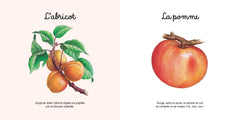 Mes jolis petits docs - Les fruits