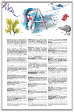 Le petit Larousse illustré 2018