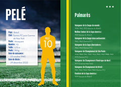 Destins de champions, Tome 26 - Une biographie de Pelé