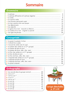 Pour comprendre DYS Français CE1 - CE2