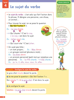 Pour comprendre DYS Français CE1 - CE2