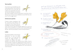 Le Petit Guide des Pires oiseaux à la con