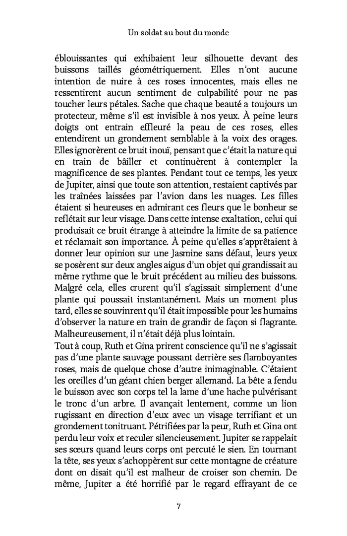 Un soldat au bout du monde