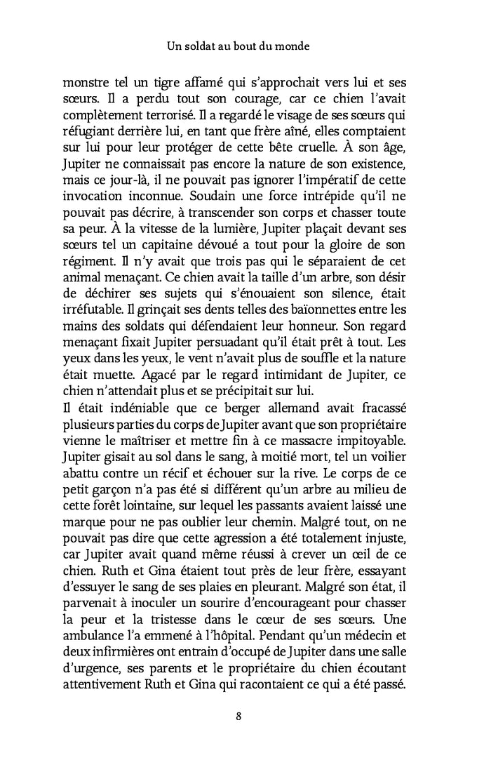 Un soldat au bout du monde