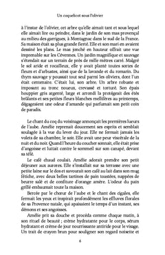 Un coquelicot sous l'olivier