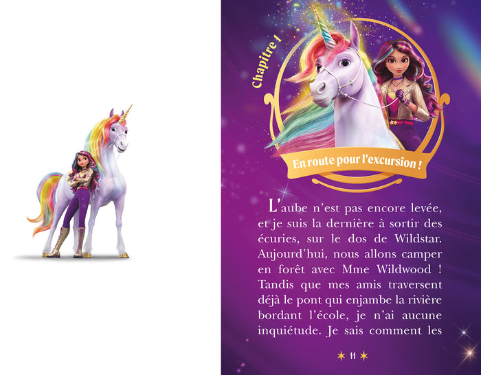 L'école des Licornes (La série TV), Tome 05