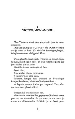 Lettre à mon chien aveugle