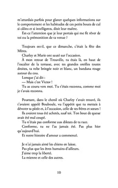 Lettre à mon chien aveugle