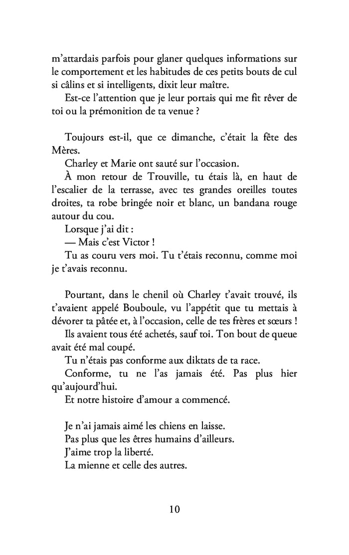 Lettre à mon chien aveugle