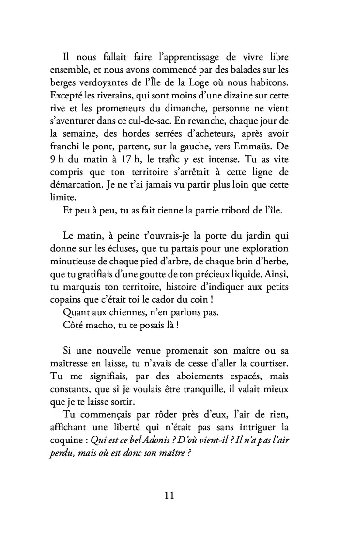 Lettre à mon chien aveugle