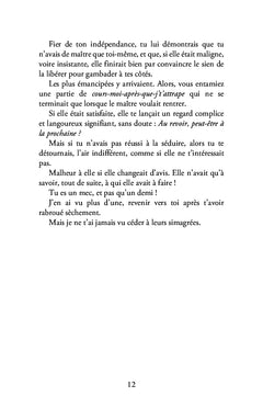 Lettre à mon chien aveugle