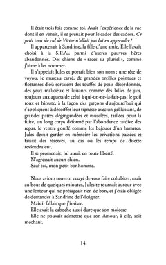 Lettre à mon chien aveugle