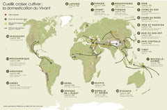 Notre empreinte sur Terre