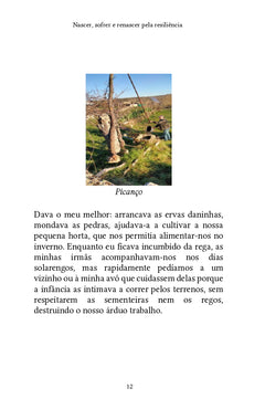 Nascer, sofrer e renascer pela resiliência