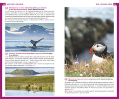 Guide du Routard Islande 2026/27