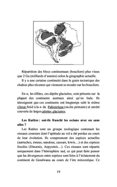 La Pangée et la Panthalassa
