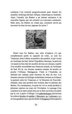 La Pangée et la Panthalassa