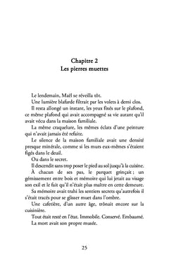 Les brumes d'Ouessant