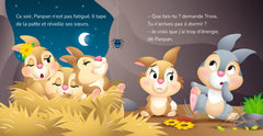 DISNEY - Mes Premières Histoires - Panpan fait de beaux rêves